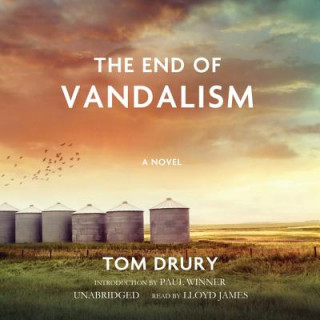 Digital The End of Vandalism Tom Drury