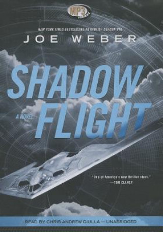 Digital Shadow Flight Joe Weber
