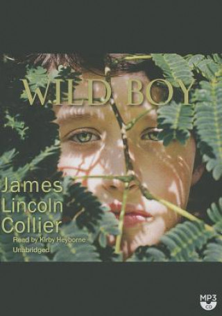 Digital Wild Boy James Lincoln Collier