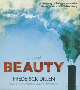 Audio Beauty Frederick Dillen
