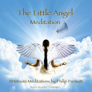 Audio The Little Angel Meditation Philip Permutt