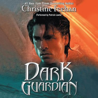 Audio Dark Guardian Christine Feehan