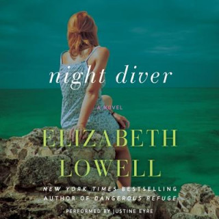 Audio Night Diver Elizabeth Lowell