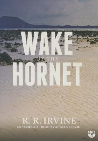 Digital Wake of the Hornet Robert R. Irvine