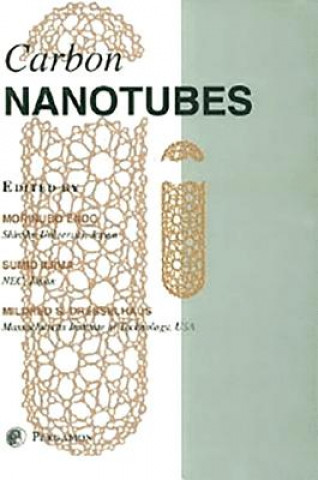 Kniha Carbon Nanotubes M. Endo