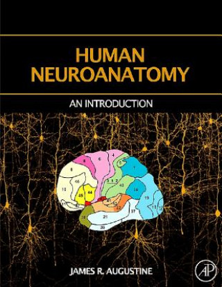 Carte Human Neuroanatomy James R. Augustine