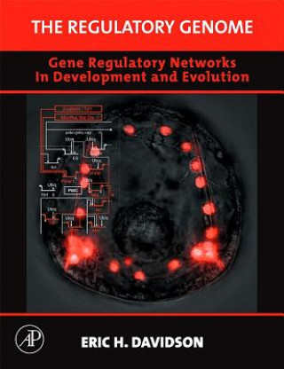 Kniha The Regulatory Genome: Gene Regulatory Networks in Development and Evolution Eric H. Davidson