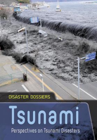 Książka Tsunami: Perspectives on Tsunami Disasters Ian Graham