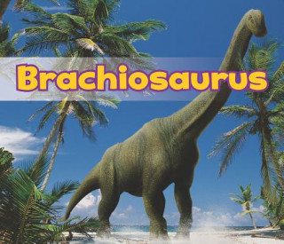 Kniha Brachiosaurus Daniel Nunn