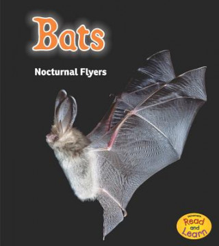 Книга Bats: Nocturnal Flyers Rebecca Rissman