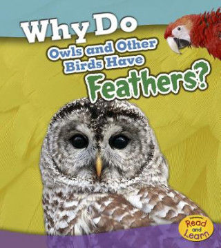 Książka Why Do Owls and Other Birds Have Feathers? Holly Beaumont