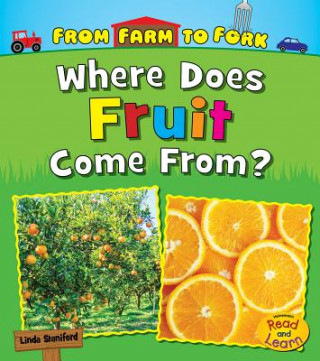Buch Where Does Fruit Come From? Linda Staniford
