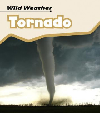 Książka Tornado Catherine Chambers