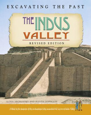 Könyv The Indus Valley Ilona Aronovsky