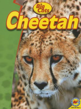 Buch Cheetah Steve Goldsworthy