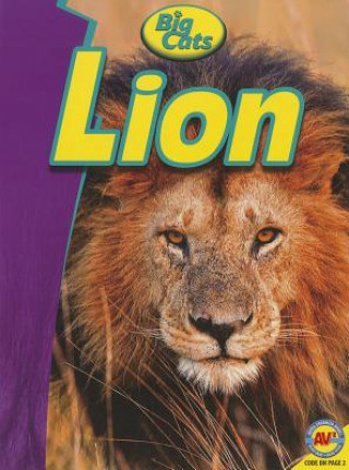 Buch Lion Ruth Daly