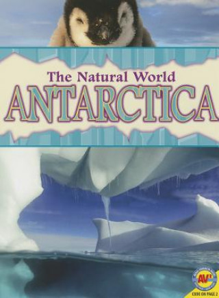 Book Antarctica Steve Goldsworthy