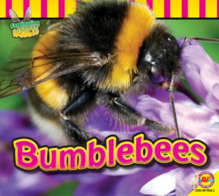 Knjiga Bumblebees Aaron Carr