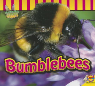Könyv Bumblebees Aaron Carr