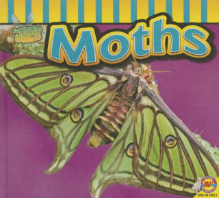 Livre Moths Aaron Carr