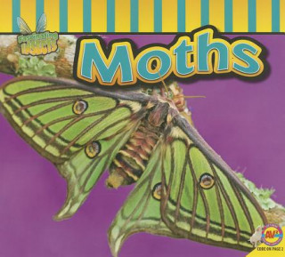 Buch Moths Aaron Carr