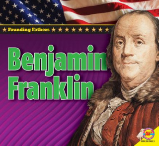 Könyv Benjamin Franklin Steve Goldsworthy