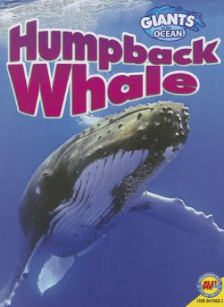 Carte Humpback Whale Jack Zayarny