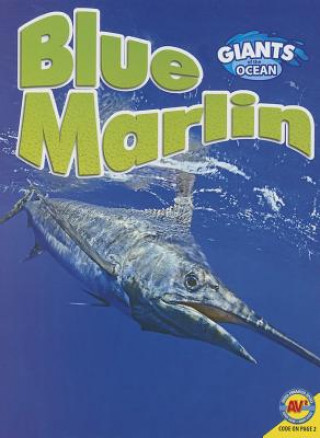 Kniha Blue Marlin Alexis Roumanis