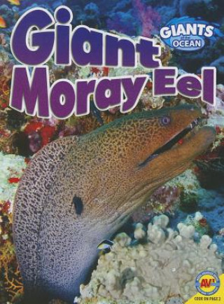 Carte Giant Moray Eel Anita Yasuda