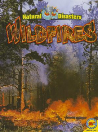 Knjiga Wildfires Pamela McDowell