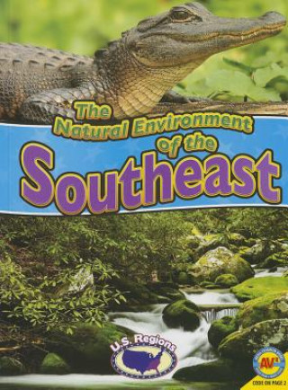 Kniha The Natural Environment of the Southeast Blaine Wiseman