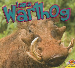 Kniha I Am a Warthog Alexis Roumanis