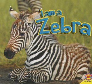 Könyv Zebra Aaron Carr