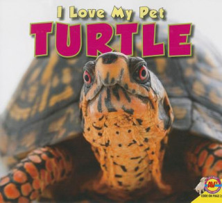 Kniha Turtle Aaron Carr