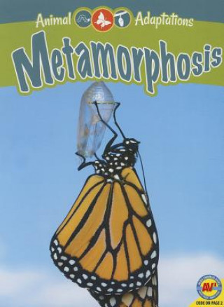 Kniha Metamorphosis Megan Kopp