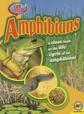 Könyv Amphibians Jack Zayarny
