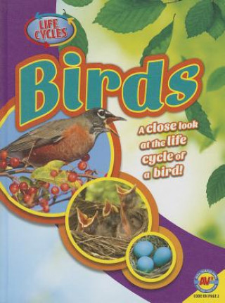 Kniha Birds Steve Goldsworthy