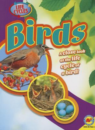 Kniha Birds Steve Goldsworthy