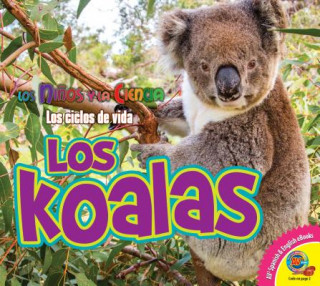 Kniha Los Koalas Ruth Daly