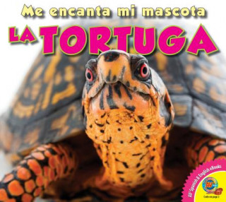 Kniha La Tortuga Alexis Roumanis