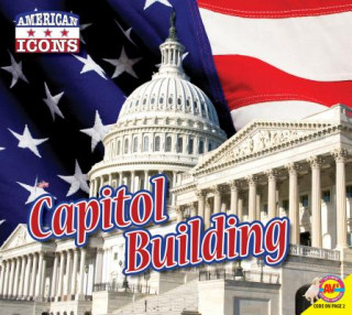 Kniha Capitol Building Aaron Carr