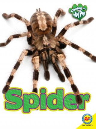 Könyv Spider Michelle Lomberg