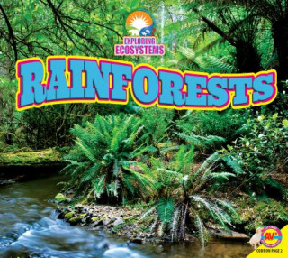 Book Rainforests Alexis Roumanis