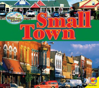 Kniha Small Town Pamela McDowell