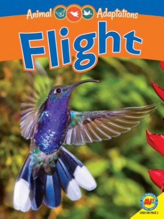 Buch Flight Pamela McDowell