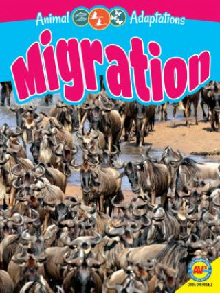 Książka Migration Megan Kopp