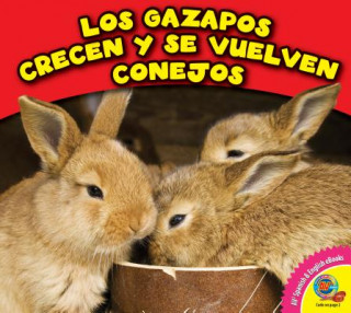 Buch Los Gazapos Crecen y Se Vuelven Conejos Cecilia Minden