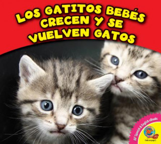 Kniha Los Gatitos Bebes Crecen y Se Vuelven Gatos Cecilia Minden