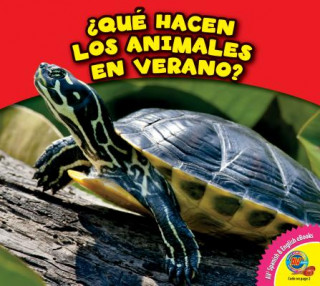 Livre Que Hacen Los Animales En Verano? Rebecca Felix