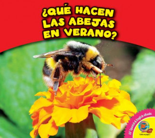 Buch Que Hacen Las Abejas En Verano? Rebecca Felix